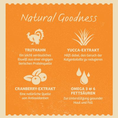 James Wellbeloved Kitten Grain Free Truthahn