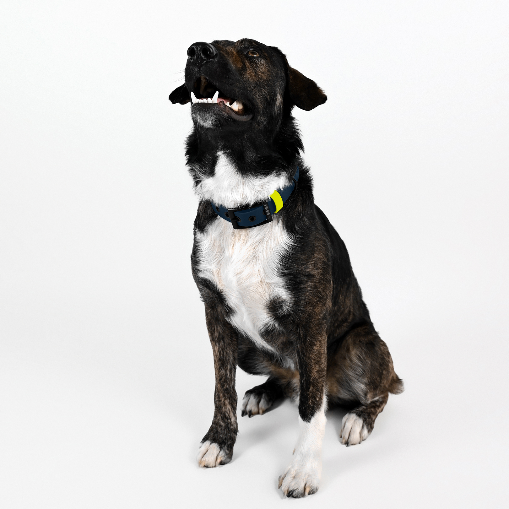 THE DOG IDEA Hundehalsbänder THE DOG IDEA Biothane Halsband Navy neon gelb XS