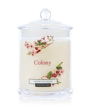 Wax Lyrical Colony Cherry Blossom Duftkerze 0.12 kg