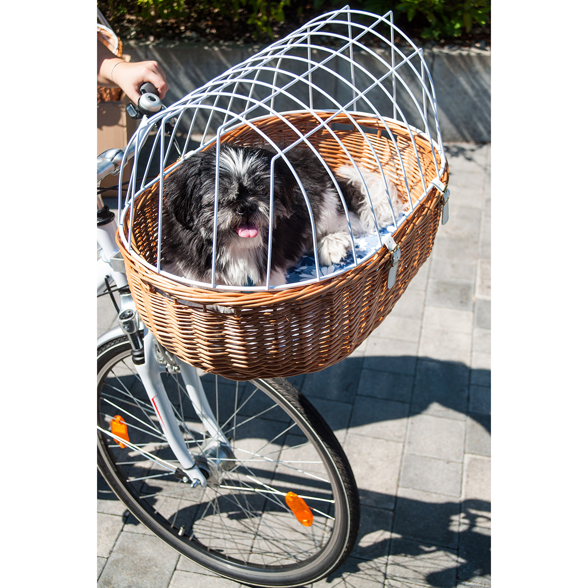Aumüller Fahrrad-Tierkorb E-Bike fähig kaufen