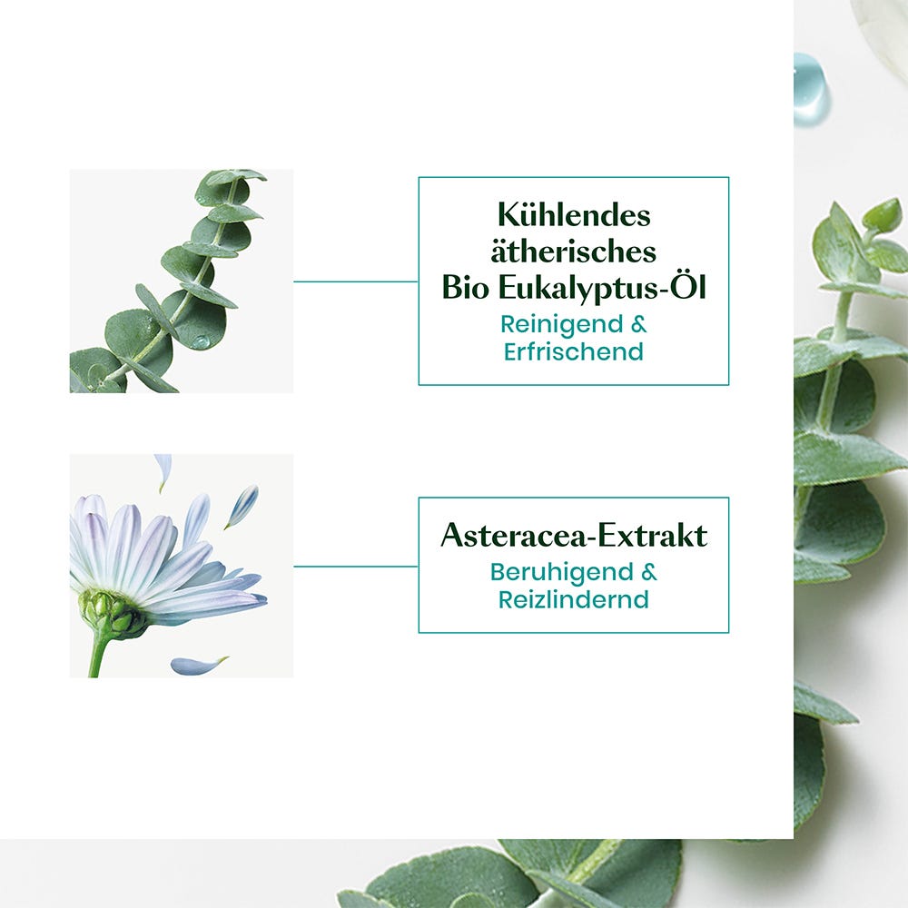 Rene Furterer Astera Head Spa Beruhigendes Konzentrat 50 ml