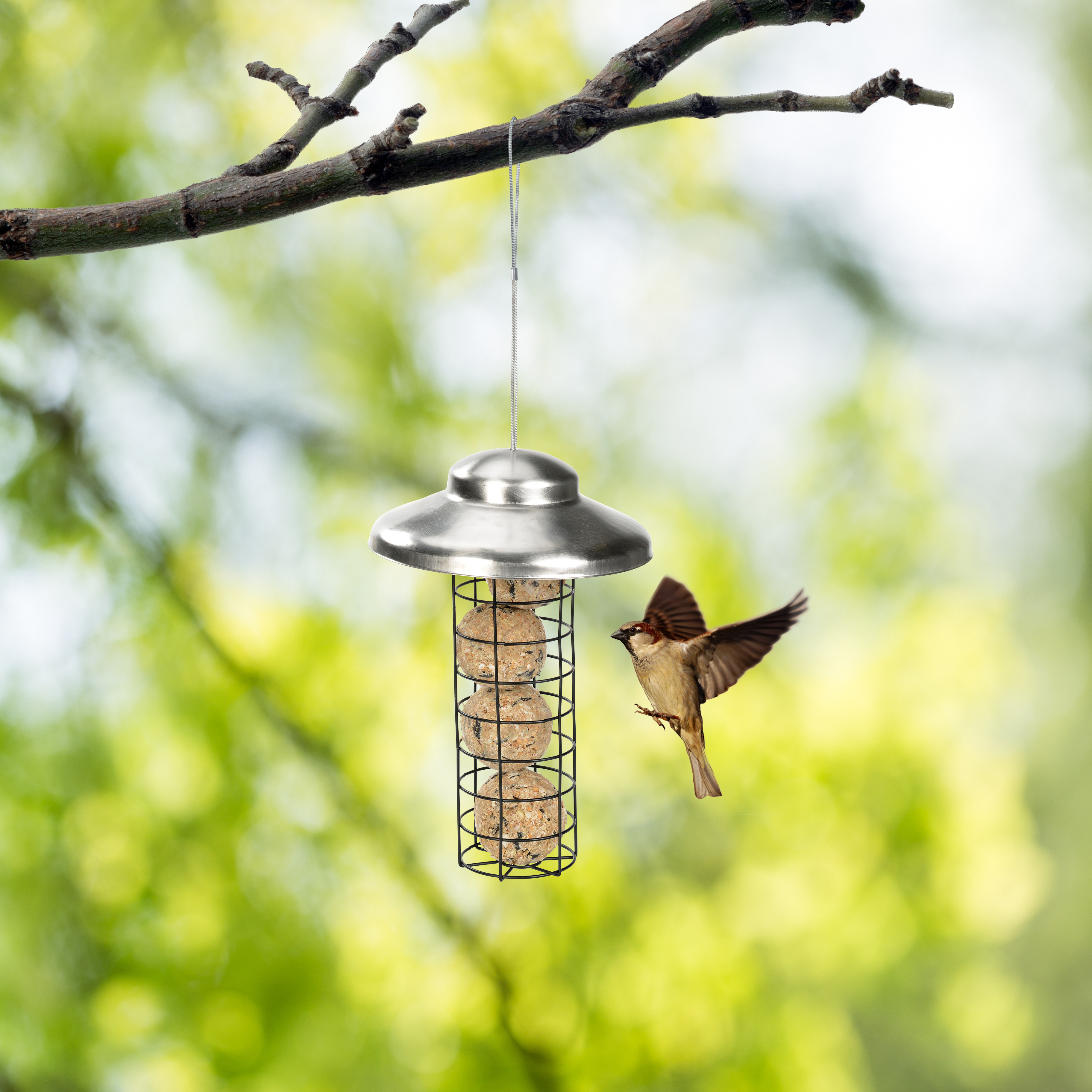 AniOne Vogelfutterspender AniOne Futtersäule für Meisenknödel