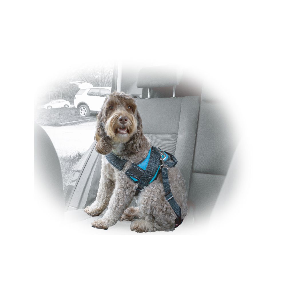 Hundegeschirr Größe M, von Norauto, 1 Stück - ATU