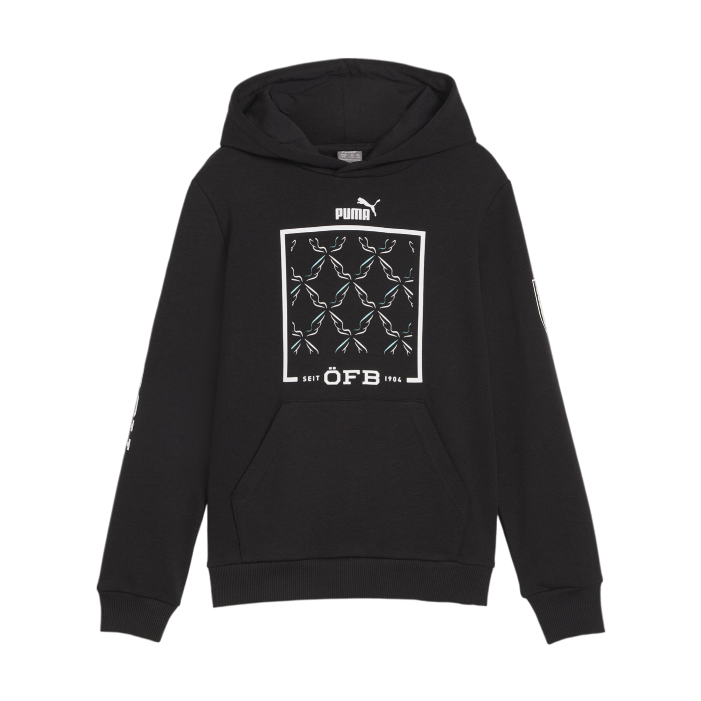 PUMA Österreich Ftbl Icons Hoody Kids EM 2024 Schwarz F08