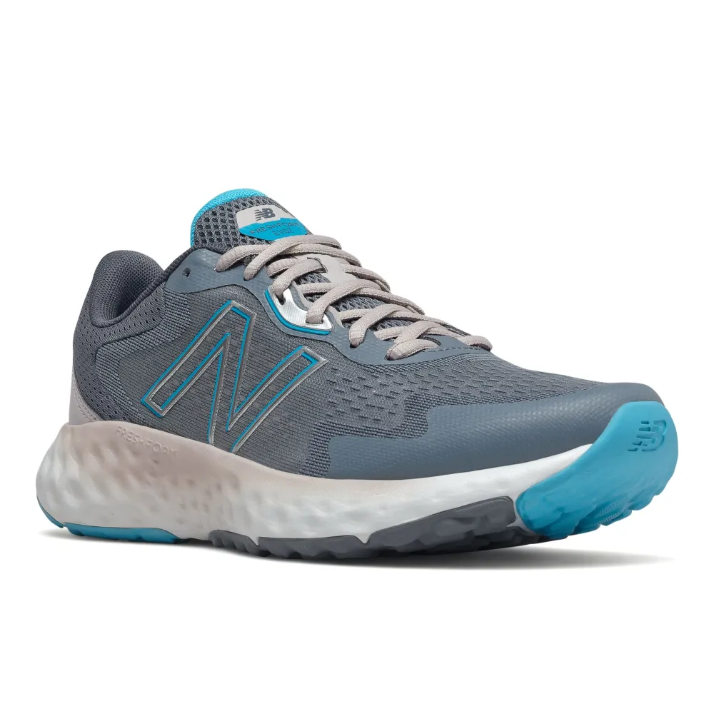 New Balance Fresh Foam EVOZ WEVOZLG / grau