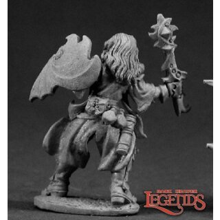 Larodin, Dark Elf Cleric
