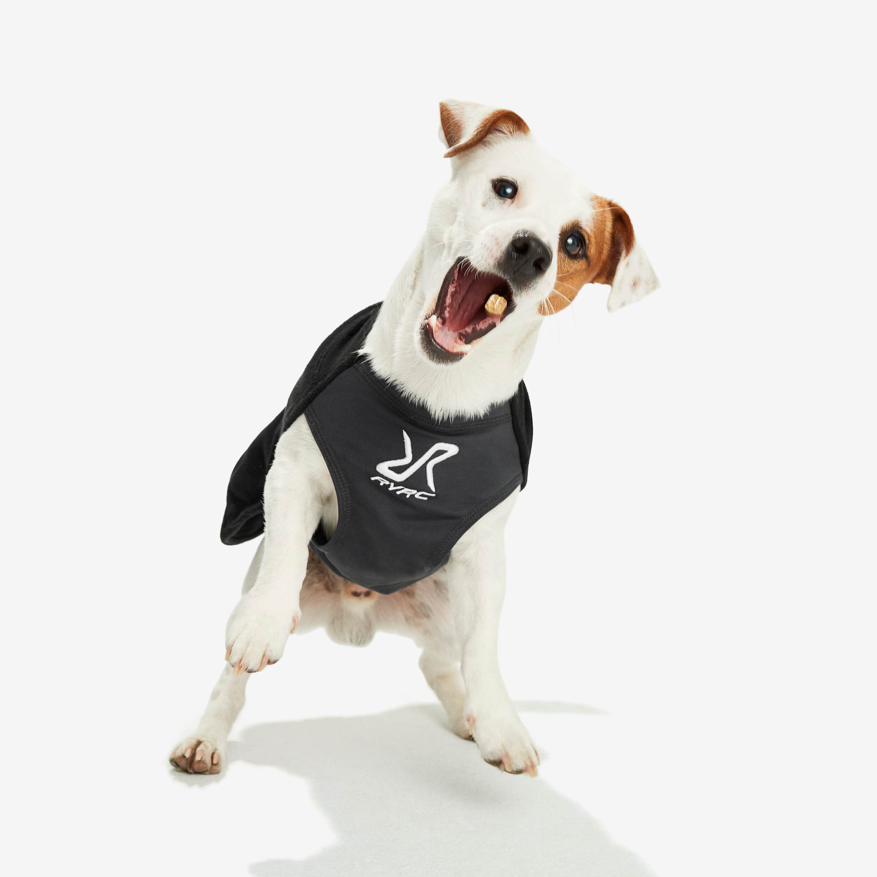Trekker Fleece Chien Caviar
