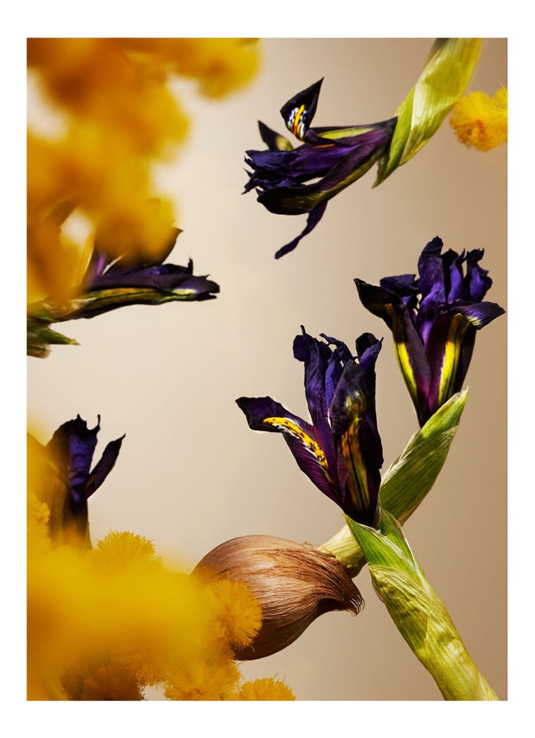 Lumânare parfumată Rituals Orris Mimosa - 360 grame