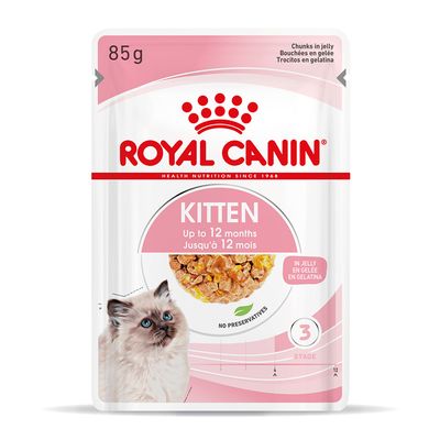 Royal Canin Kitten in Gelee