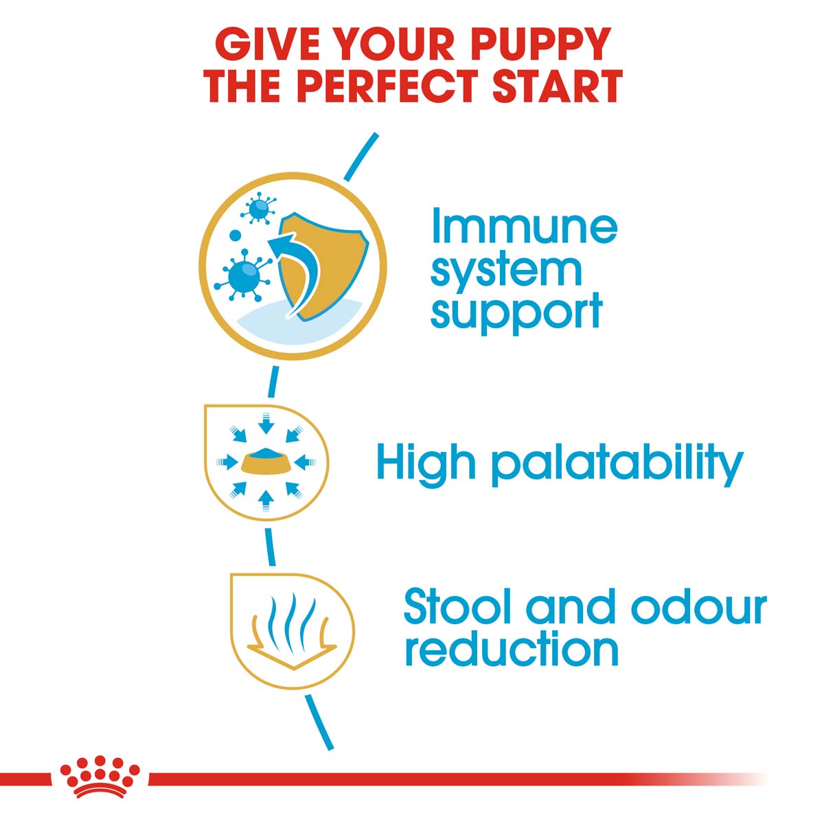 ROYAL CANIN Chihuahua Puppy Welpenfutter trocken bei ZooRoyal