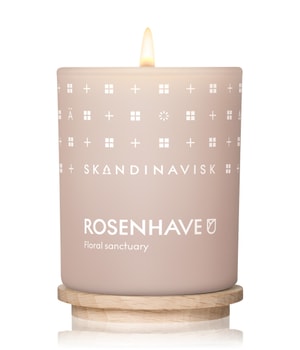SKANDINAVISK ROSENHAVE Duftkerze 65 g