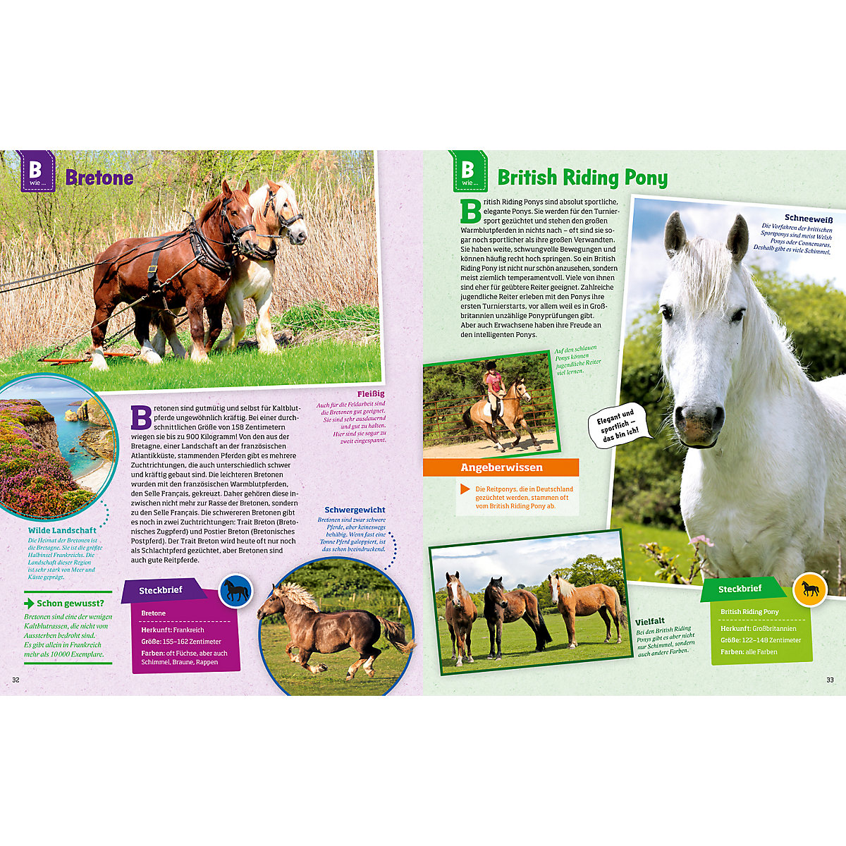 Was ist Was: Pferde und Ponys
