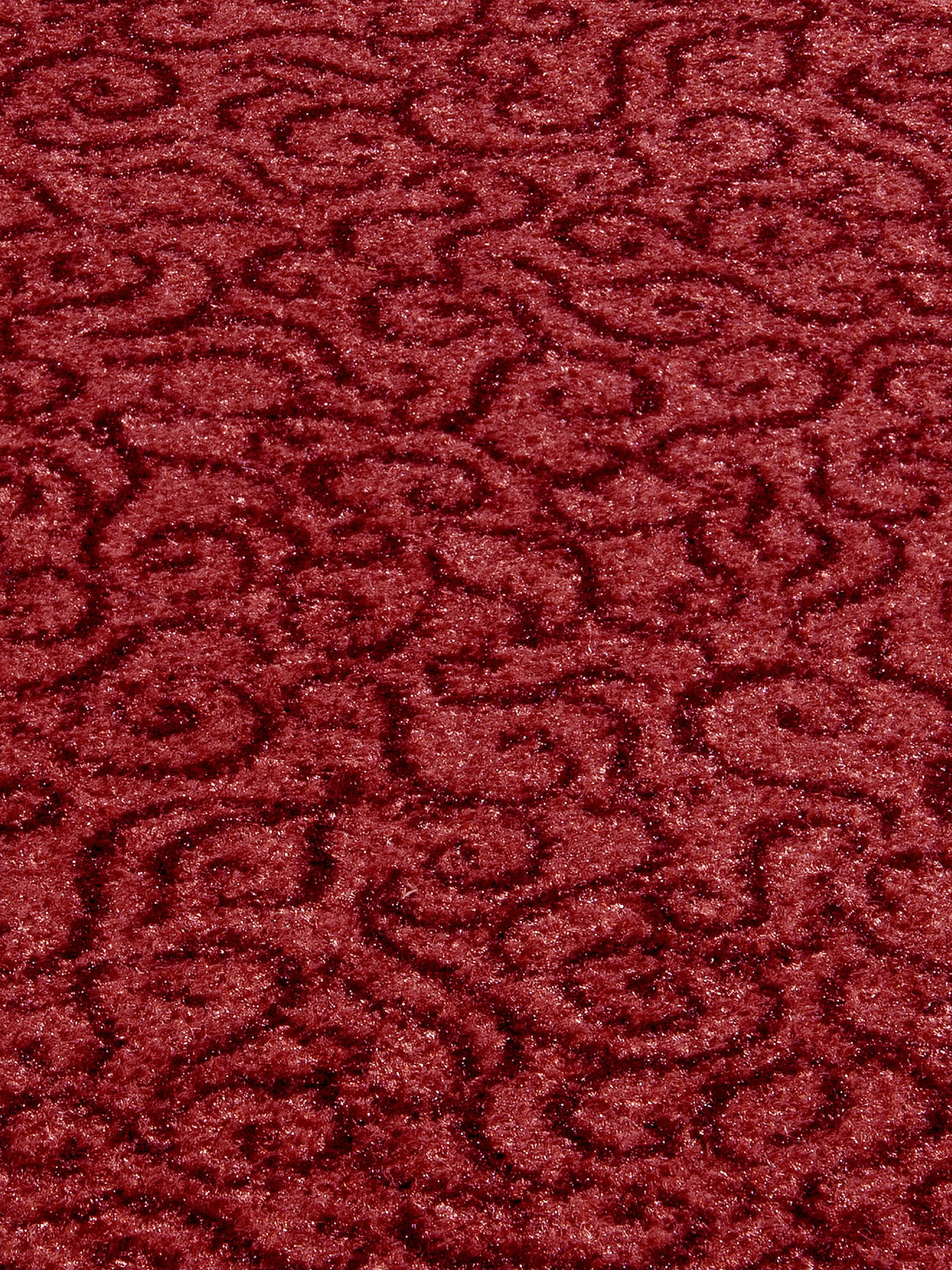 Aktiv Colour Sauberlaufmatte, Rot