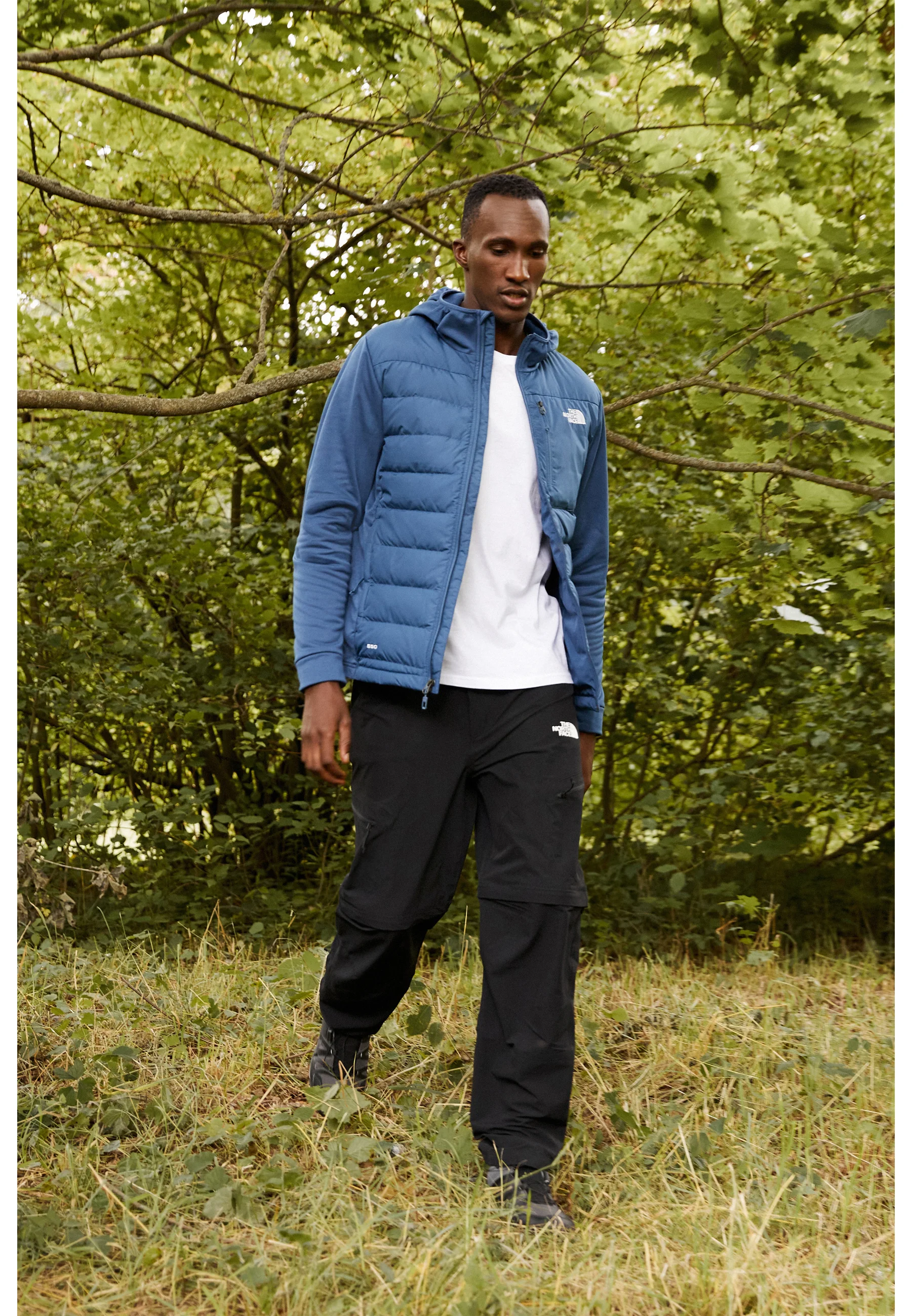 The North Face ACONCAGUA HYBRID - Chaqueta de plumas
