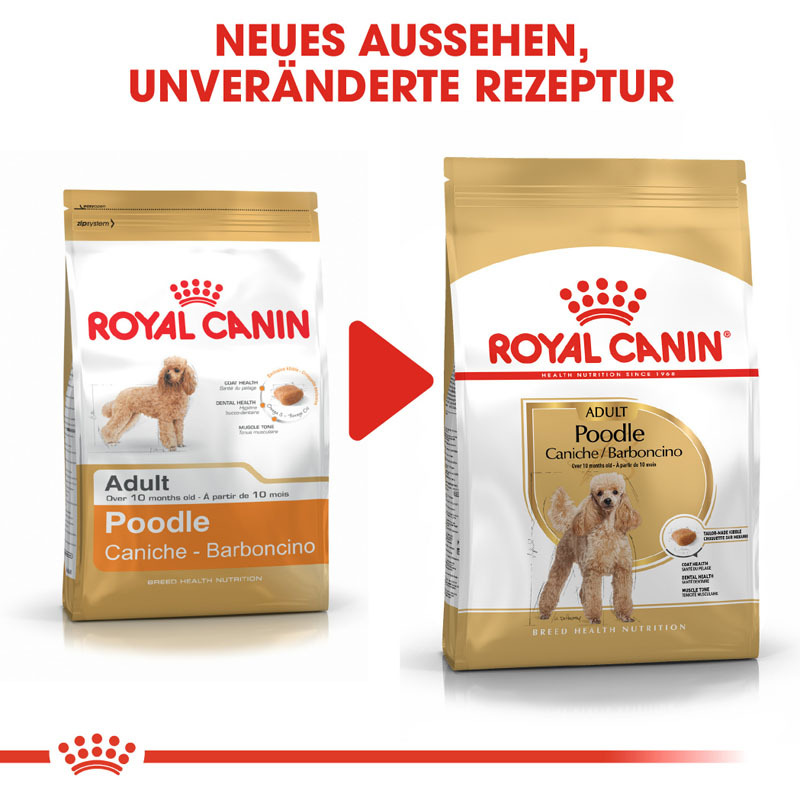 ROYAL CANIN Hundetrockenfutter ROYAL CANIN Poodle Adult 1,5 kg
