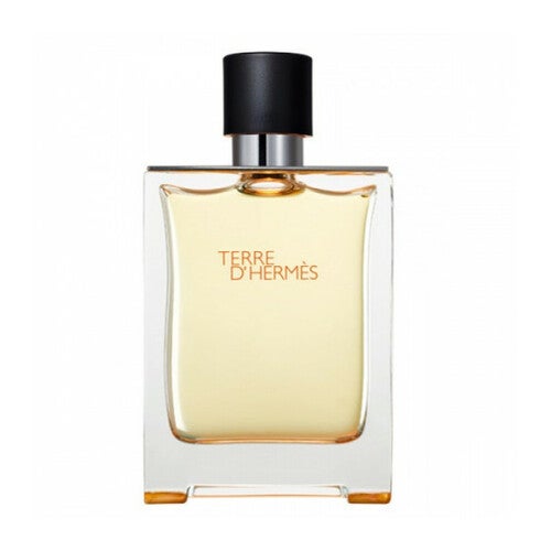 Hermès Terre D'Hermès toaletní voda 100 ml