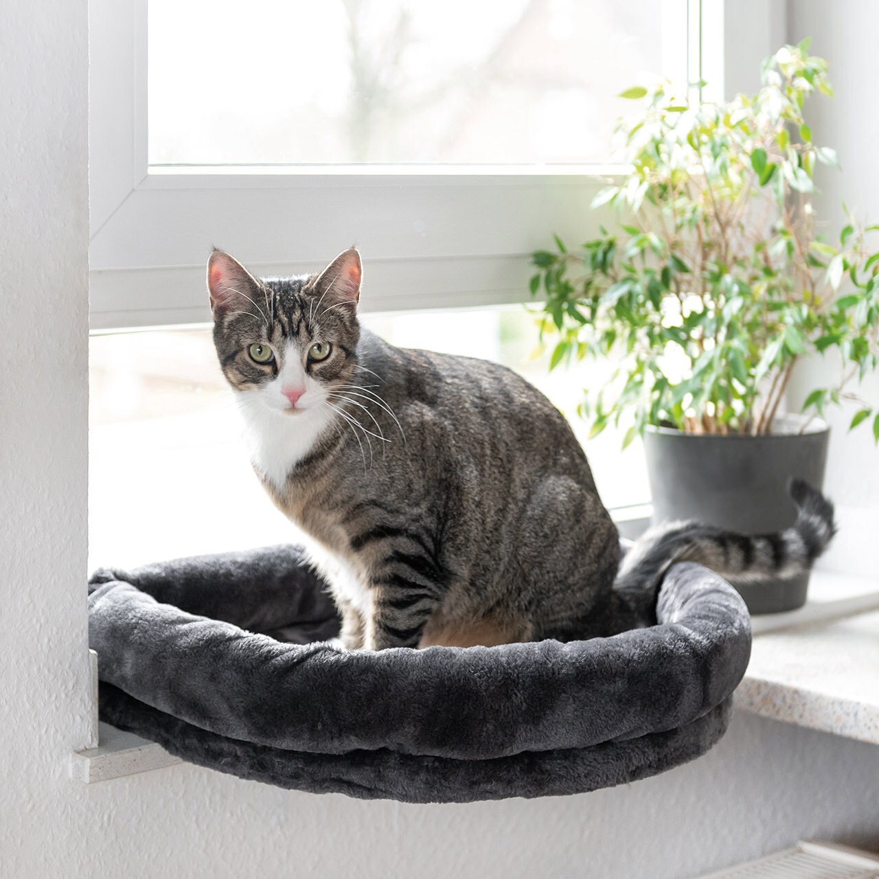 Canadian Cat Company Katzenbetten & Katzensofas Canadian Cat Company Fensterliege Loveseat