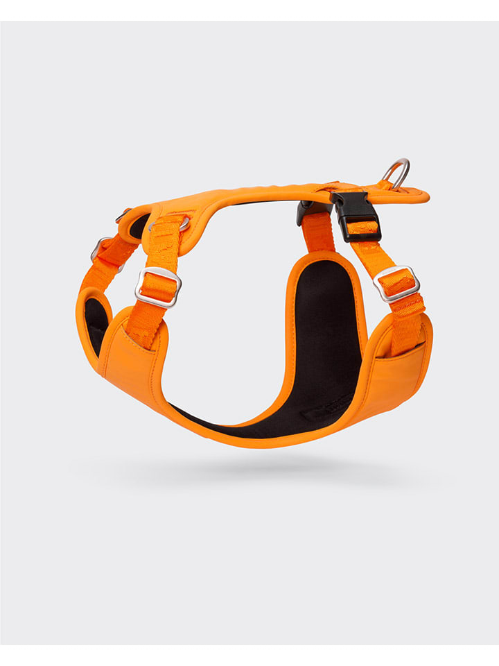 Paikka Hundegeschirr in Orange günstig kaufen