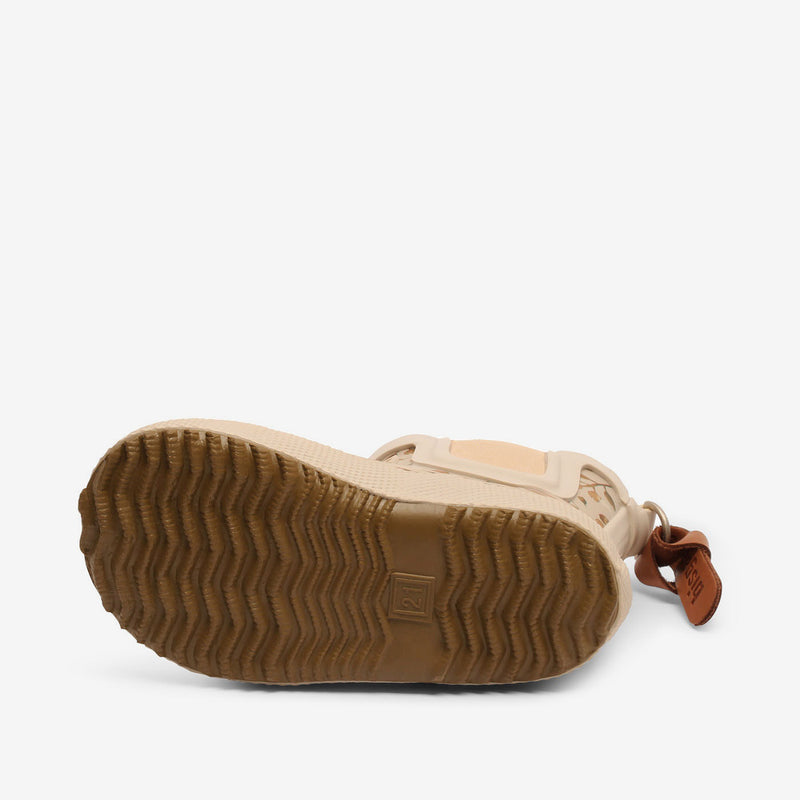 baby rubber sage herbs - Braun