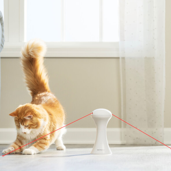 Automatisches Katzenspielzeug Multi-Laser