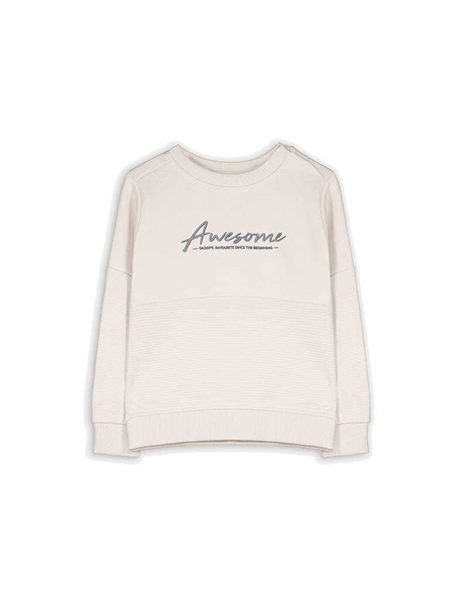 Sweatshirt - Messageprint