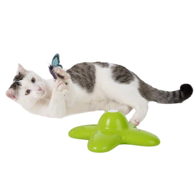 Katzenspielzeug Funny Butterfly zu TOP-Preisen