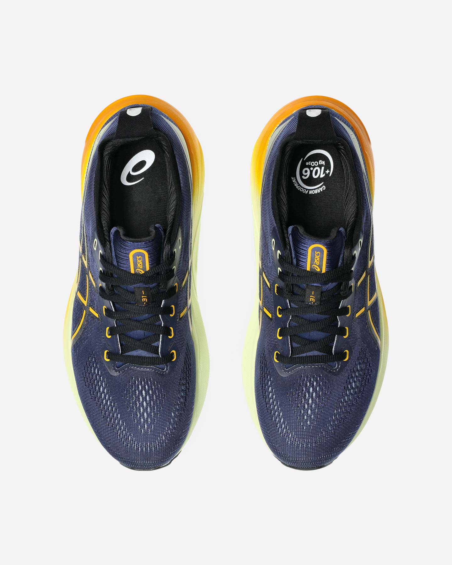 Buty do biegania Asics Gel Kayano 31 M 1011B867-403