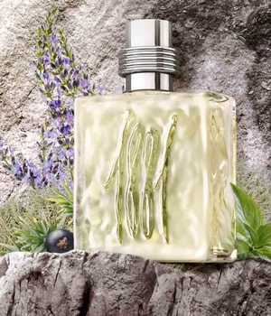 Cerruti 1881 pour Homme Eau de Toilette 25 ml