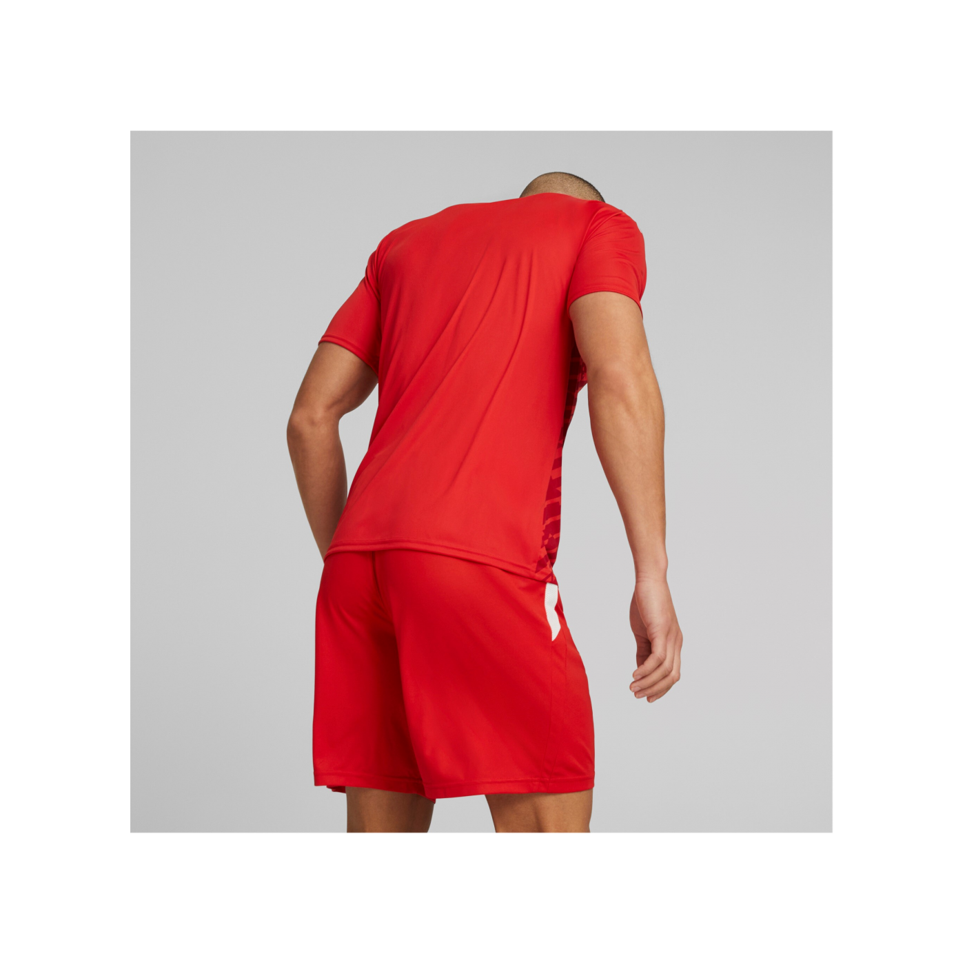 PUMA teamULTIMATE Trikot Rot F01