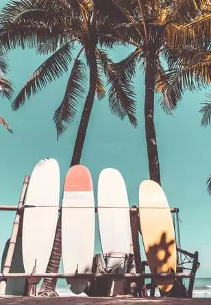 Puzzle 300 Teile - Surfing