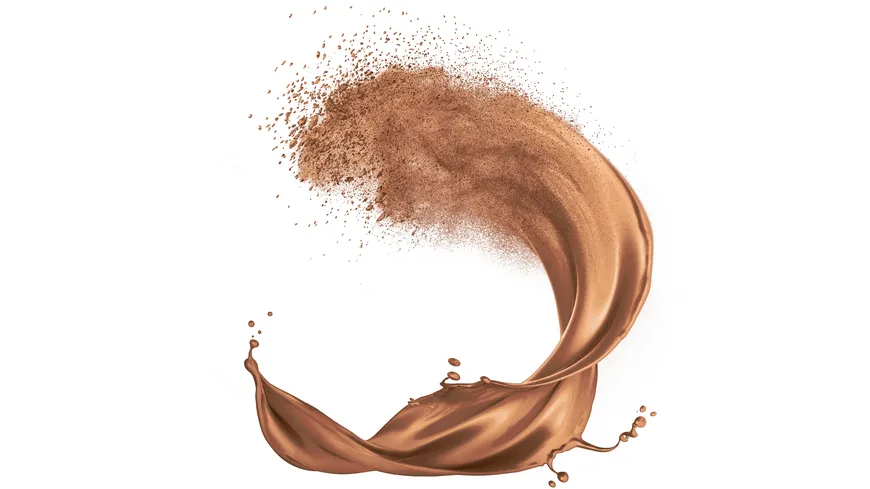 L'ORÉAL PARIS INFAILLABLE Puder BRONZER 9 g 350 - medium