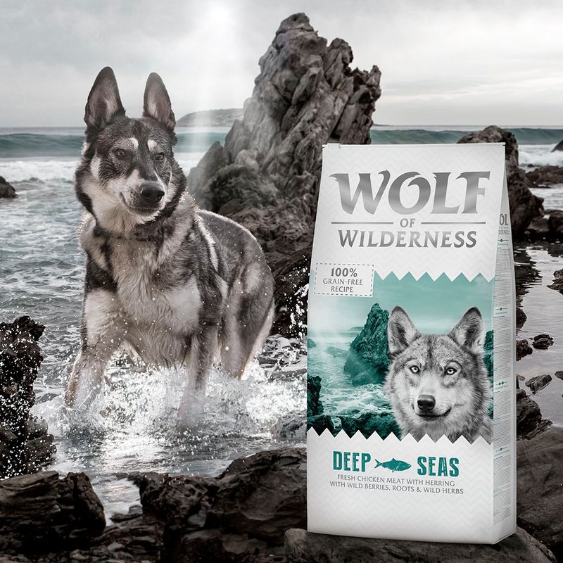 Wolf of Wilderness Adult 'Deep Seas' - Hering