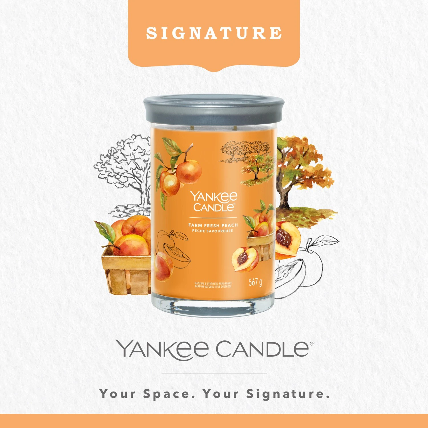 Vaso grande YANKEE CANDLE sabor melocotón