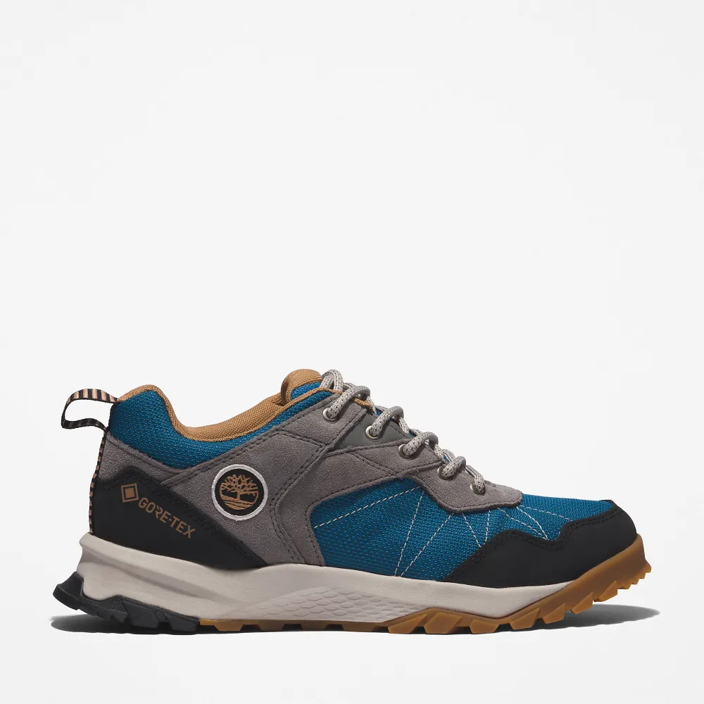 Timberland Lincoln Peak Gore tex TB0A5MSQCY31 / grau