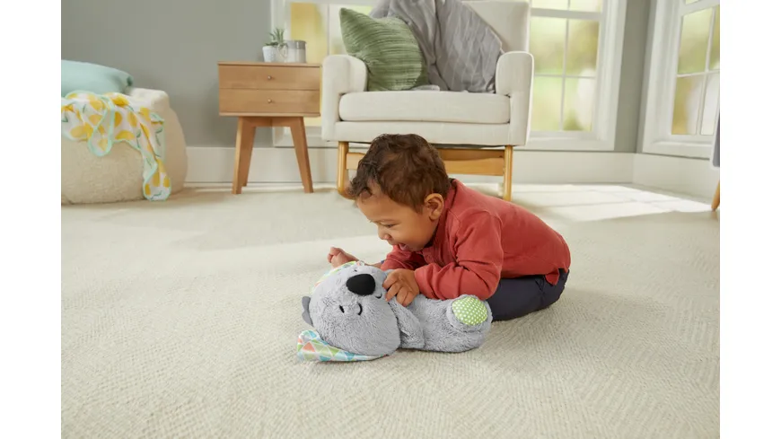 Fisher-Price Schlummer-Koala, Plüsch-Tier Baby, Spieluhr, Kuscheltier ab 0 M.