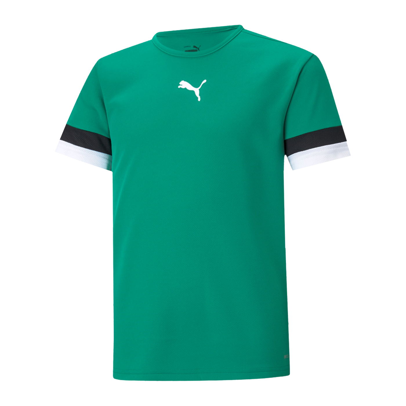 PUMA teamRISE Trikot Kids Grün F05