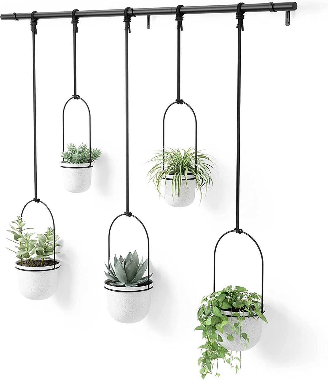 trends4cents Umbra Triflora WHITE Hängeblumentopf, Wandvase, Blumentopf, Blumenampel für Wand-& Deckenanbringung