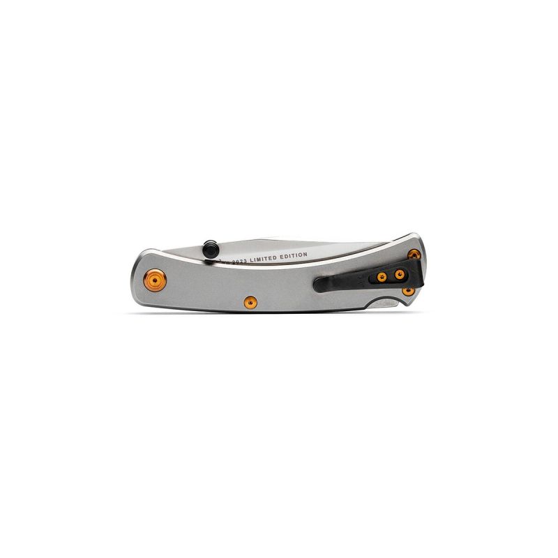 Buck Folding Hunter Titanium Slim Pro TRX 110GYSLE1 Limited Edition