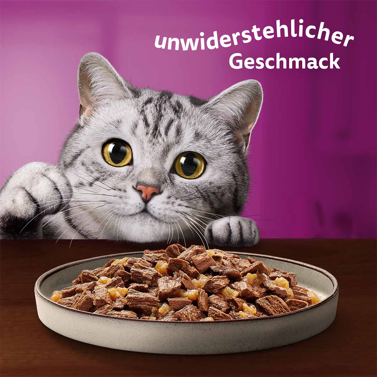 Whiskas Pure Delight Multipack Klassisches Ragout in Gelee 12x85g