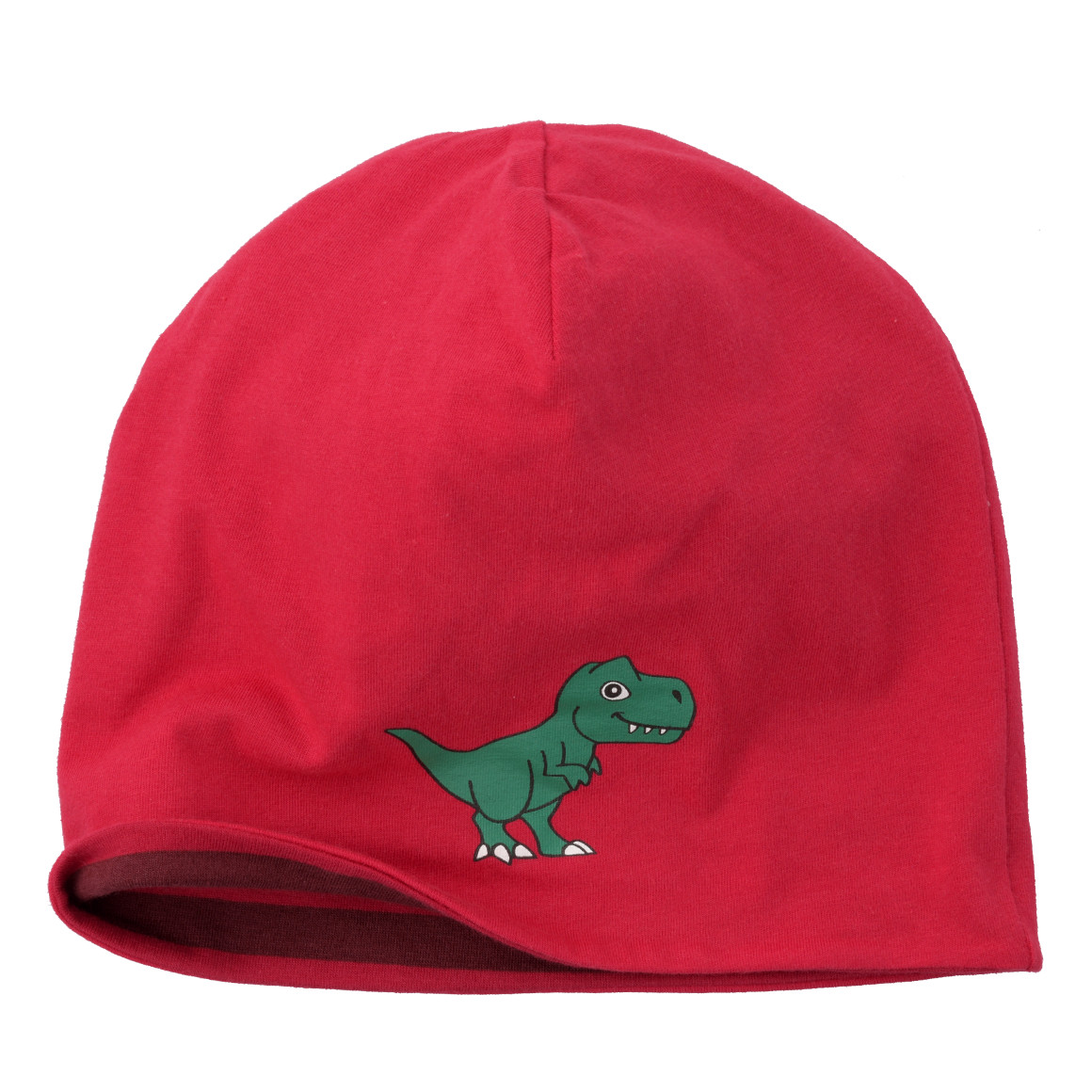 Jungen Beanie mit Dino-Print