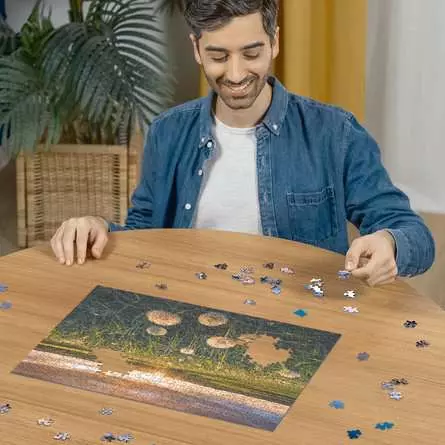 Puzzle 500 Teile - Pusteblumen im Sonnenuntergang