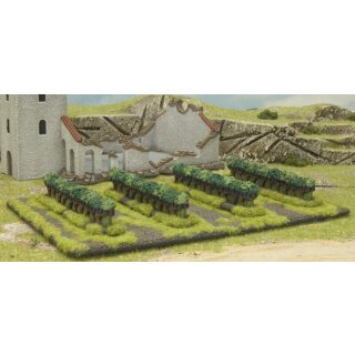 Italian Vineyards (BFBB116)