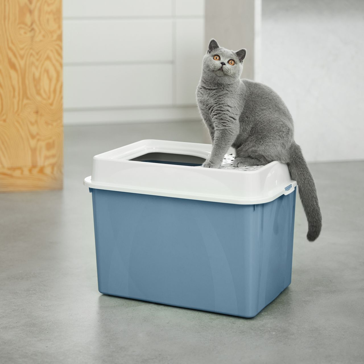 Rotho Babydesign Rotho MyPet Eco Berty Katzenklo mit Top-Eingang, blau/weiss (recycelt)