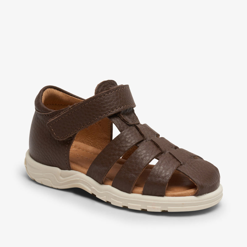 bagge c brown - Braun