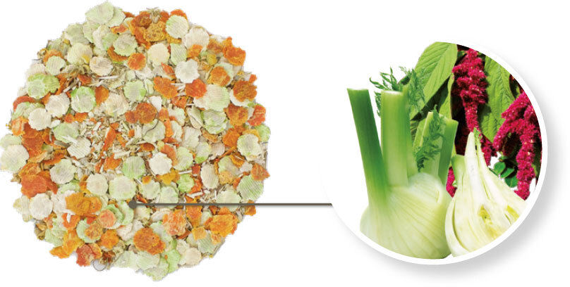 BLUE TREE Ergänzungsfutter & Aufzucht BLUE TREE Wellness Flakes 650g Erbse und Karotte