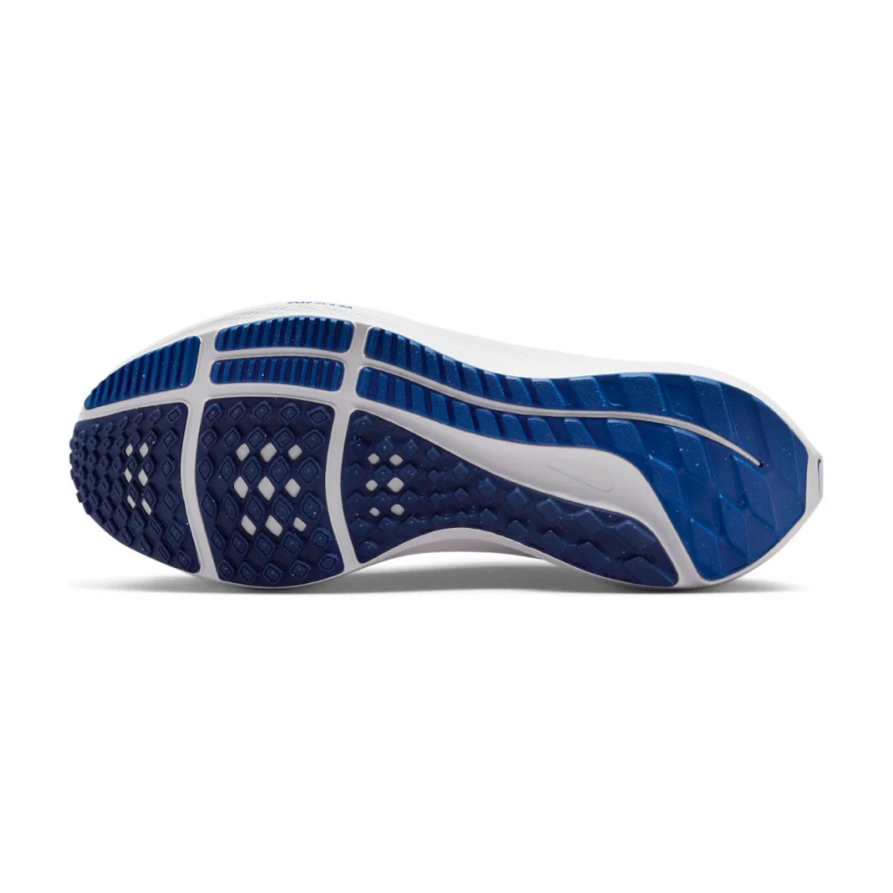 Nike Air Zoom Pegasus 40 DX2498-400 / blau