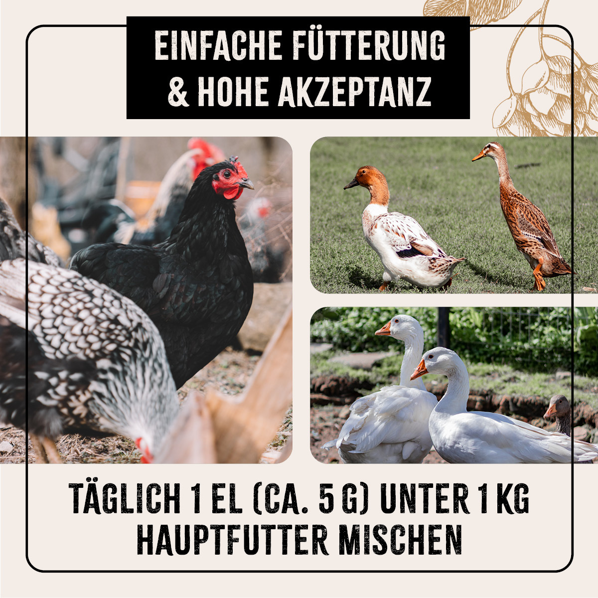 Aniforte Futter & Heu Aniforte FarmLife Geflügel Bierhefe Spezial Mix 1kg