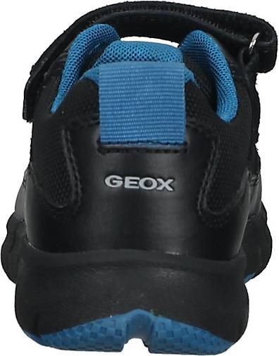 Geox Sneaker