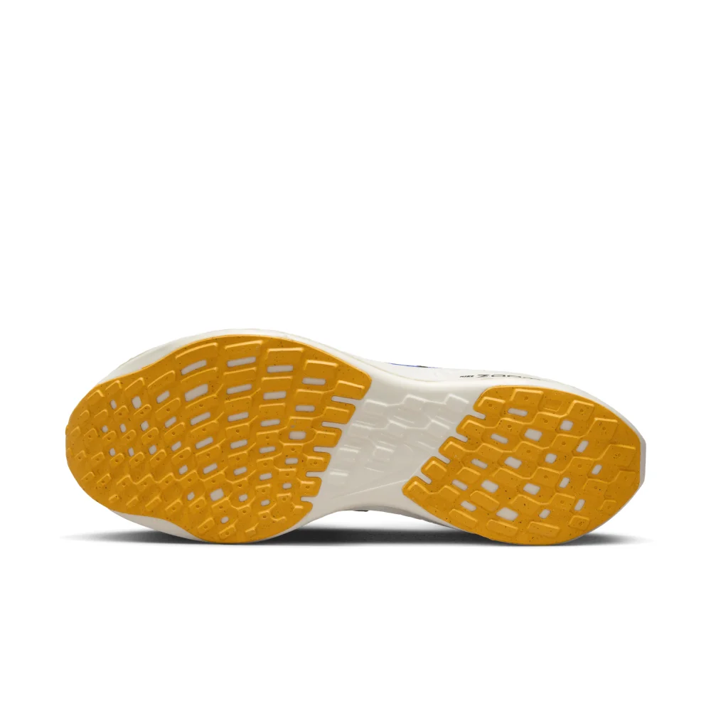 Nike Pegasus Turbo Next Nature DM3413-401 / blau