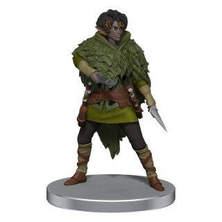 D&D Icons of the Realms: Dragonlance - Warrior Set (6) (Pre-Painted)